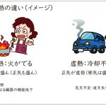 実熱と虚熱の違い（イメージ）