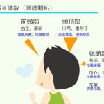 川芎茶調散に含まれる生薬