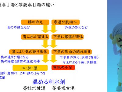 めまい ふらつき 東大阪市の福田漢方薬局