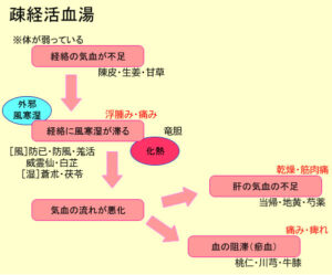 疎経活血湯