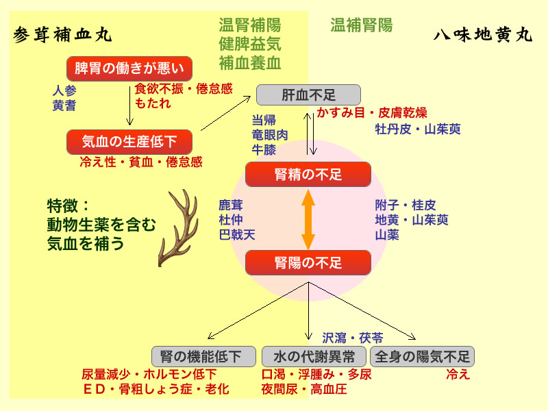 参茸補血丸と八味地黄丸の比較表